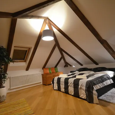 Attic Hroznova - Charles Bridge شقة *